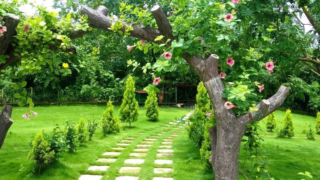 Sparsh Resort & Chalet Kalamb  エクステリア 写真
